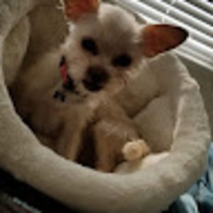 Meet your Posher, Miguel